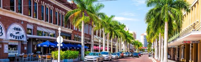 What Is the Cost of Starting an LLC in Florida?