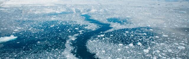 Flat Earther Expedition to Antartica Bolsters Case That Our Planet is Round
