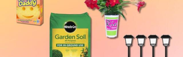 Revamp your yard with Home Depots Spring Deals that are all under $20