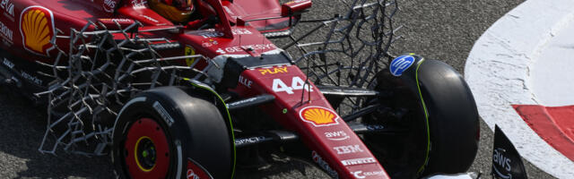 What Are The Metal Grids On F1 Cars For?