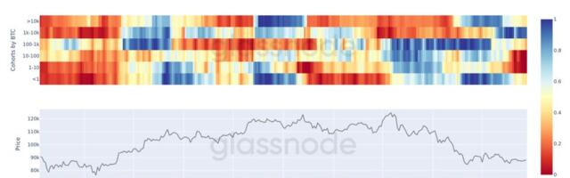 Bitcoin whales have been the main accumulators in the $80,000 range