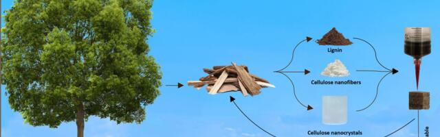 Researchers 3D print wood objects from sawdust ink – texture, appearance, and smell similar to the real thing