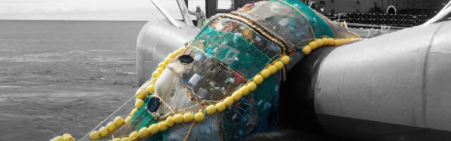 Watch these satisfying videos of the ocean getting a much-needed cleanup