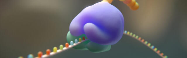 Researchers try to cut the genetic code from 20 to 19 amino acids