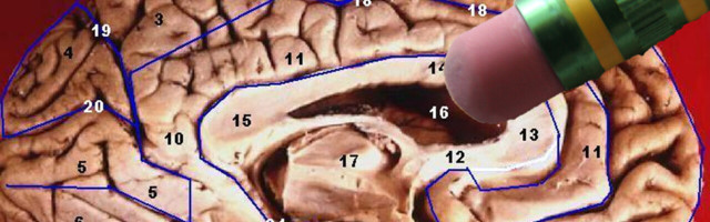 Scientists may have discovered a way to make us forget bad memories