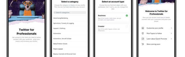 Twitter opens up Professional Profiles to all users