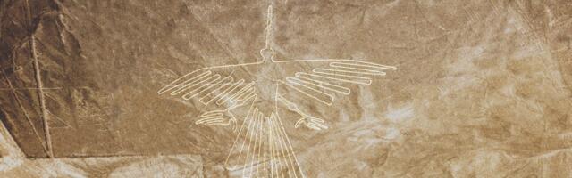 AI Survey Reveals Hundreds of ‘Nazca Line’ Geoglyphs