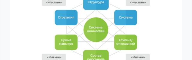 Большой обзор книги «Феномен репки: Команда как драйвер роста»