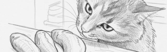 Нескучное программирование.И снова ограничения