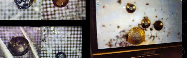 Metallic Spheres Found On The Ocean Have Interstellar Origin, Harvard Professor Reveals