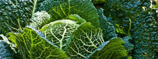 Amex acquires Softbank-backed Kabbage after tough 2020 for the SMB lender