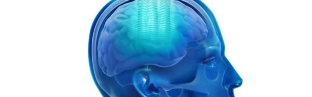Carthera secures additional €4.5M for innovative medtech to treat brain disorders