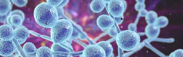 A Vaccine for Yeast Infections Could Soon Be Reality