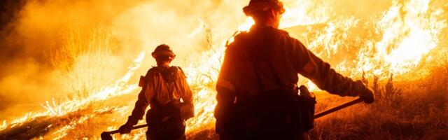 The most powerful news photos of the year