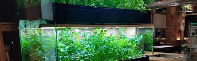 Evergreenwalls offers great eco-friendly farming solutions since 2020
