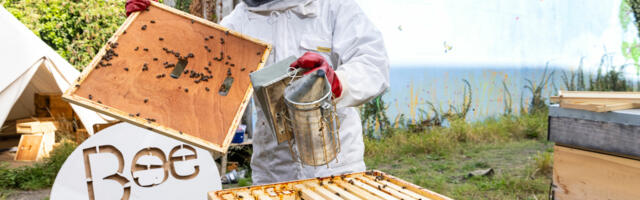 Smart D8 Pilot Project Bee8 Set to Cause a Buzz in Dublin 8