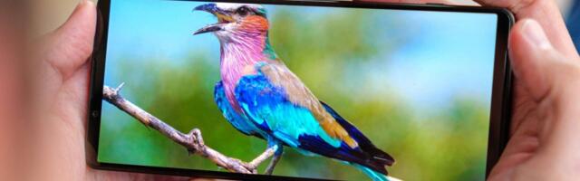 Sony Xperia 1 V gets Android 14 with Video Creator, improved Bokeh mode