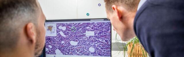 Dutch medical software company Aiosyn raises €2.4M to advance cancer diagnostics through AI