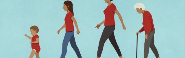 [Перевод] Ваш мозг заметно меняется в 9, 32, 66 и 83 года