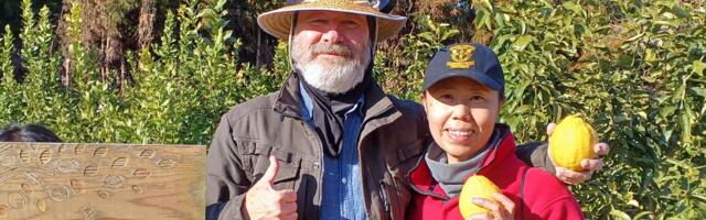 Priced out of Hawaii, this couple bought a home in rural Japan instead