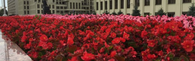 Latvia’s CopyMonkey wins Emerge Challenge