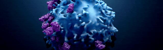 Advancing cancer treatments, medtech startup Epitopea raises £10.3 million
