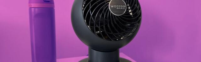 Back to School: College students love the Woozoo fan, and its on sale for $39