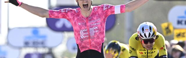 How to watch Dwars door Vlaanderen 2026: Free Streams and TV Channels for the UCI WorldTour Race