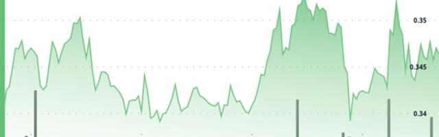 XLM Rises 6% to Recover From Weekend Plunge
