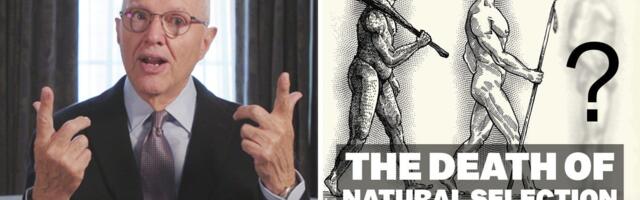 How AI will change everything