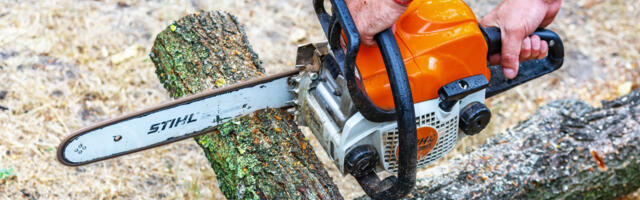 What Size Chainsaw Do You Need To Cut Trees? Here's What You Should Know