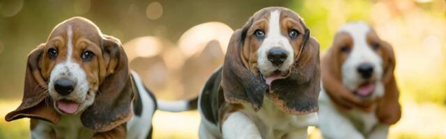 I used ChatGPT to get inside my dog’s head — and now I’m slightly afraid she’s smarter than me