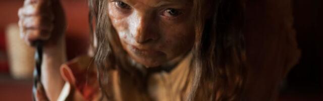 ‘Lee Cronin’s The Mummy’ Will Please Gross Horror Fans