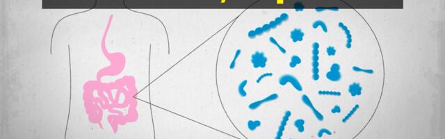 The truth about gut health