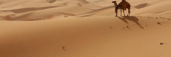 Equity Monday: Palantir might have a very eventful hump day