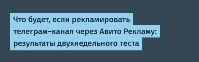 Что будет, если рекламировать телеграм-канал через Авито Рекламу: результаты двухнедельного теста