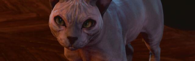 Latest Baldur's Gate 3 hotfix makes His Majesty the cat bald once again