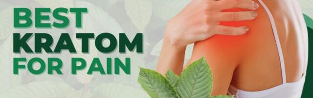 Best Kratom for Pain, Anxiety, Stress Relief & More in 2024: Capsules, Strains & Powders