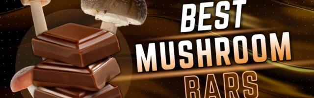 Best Mushroom Chocolate Bars of 2024: Pros, Cons, Flavors & Strengths