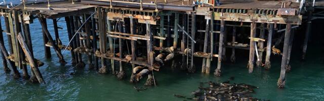 Decision to rebuild end of Santa Cruz Wharf slated for April