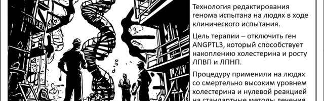 [Перевод] CRISPR снова в строю! Генная терапия против холестерина прошла первое в мире клиническое испытание на людях