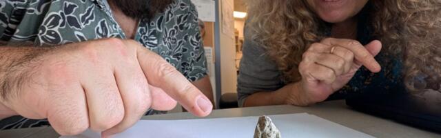 12,000-Year-Old Artifact Depicts a Goose Having Sex With a Woman