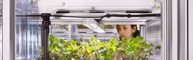 In numbers: Germany dominates European climate tech