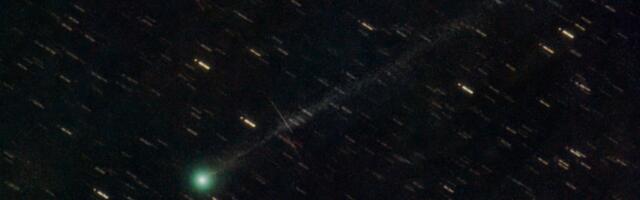 A New Comet Is Streaking Across the Morning Sky. Catch It Before the Sun Does