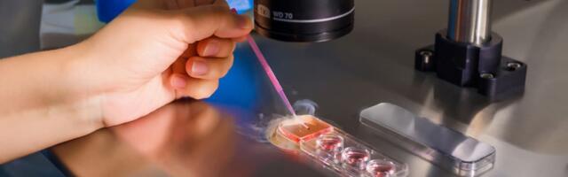 Pluro Fertility Nets INR 125 Cr At INR 1,000 Cr Valuation Pluro Fertility Nets INR 125 Cr At INR 1,000 Cr Valuation