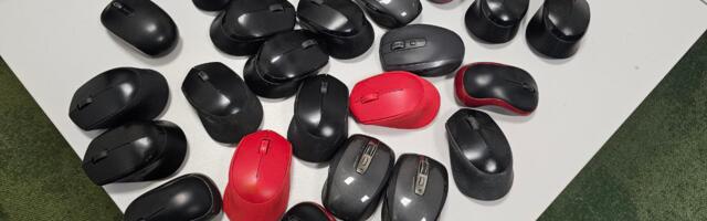 Говорим о грызунах: наши истории о выборе идеальной мыши