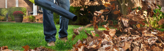 Every Ryobi Leaf Blower You Can Buy Today, Ranked By Price