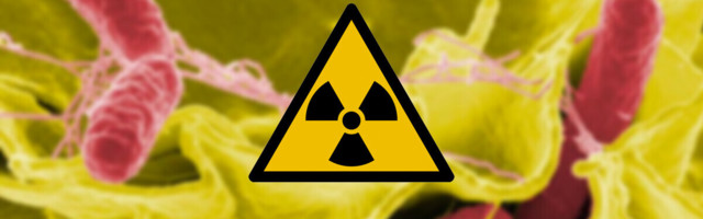 Do space microbes like radioactive waste?