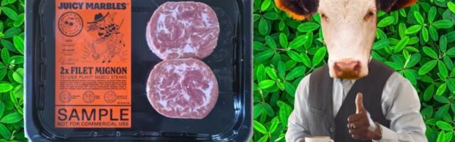 A plant-based filet mignon gave me a taste of a meatless future