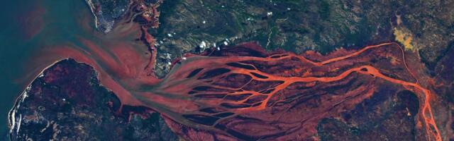 Astronaut’s stunning Earth photo looks like ‘arteries in your retina’